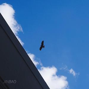 人妖性交做爱网站
