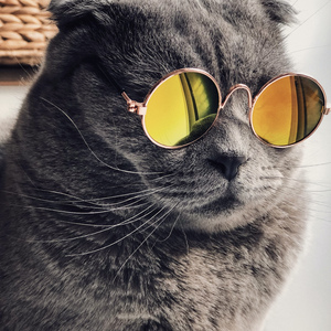 人妖性交做爱网站
