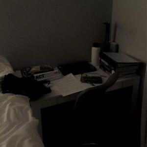 人妖性交做爱网站
