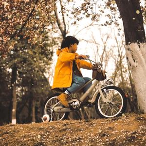 人妖性交做爱网站
