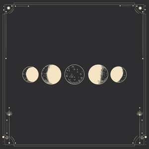 人妖性交做爱网站
